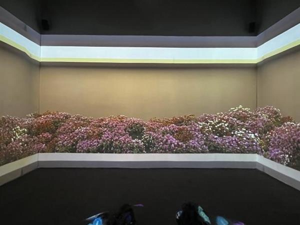 理光参展2023 GETshow  “花域密境”沉浸式体验秀和零仰角新品RU336ST大受好评(图2)