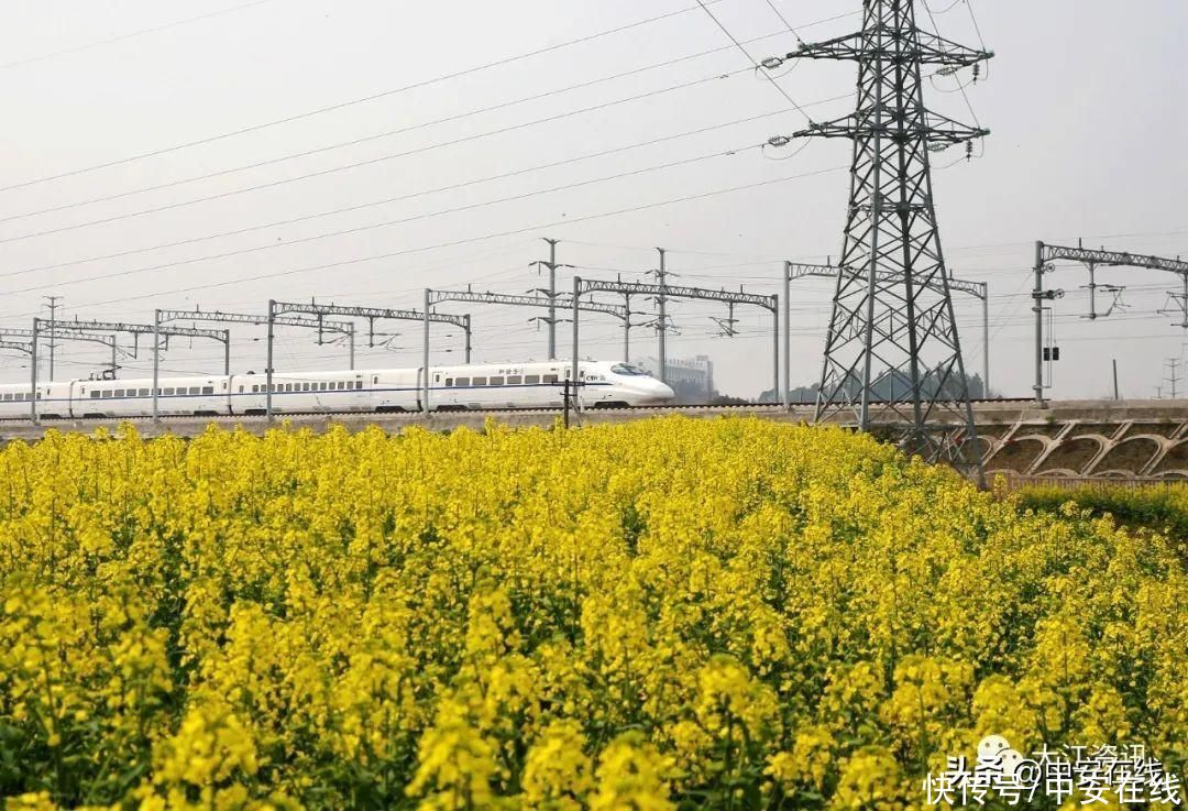 直达青海！芜湖今年再增一条高铁通道(图5)