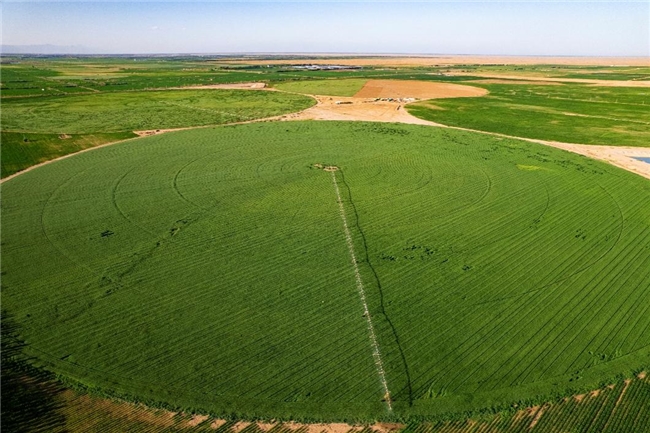 绿色乳业革命:从沙漠治理到灯塔工厂(图1) 绿色乳业革命:从沙漠治理到灯塔工厂(图1)