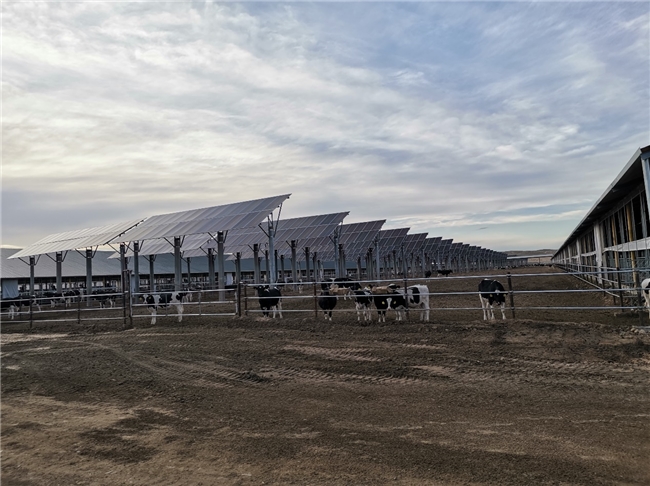 GREEN战略引领价值链 夯实可持续发展韧性——蒙牛发布2024年可持续发展报告(图3)